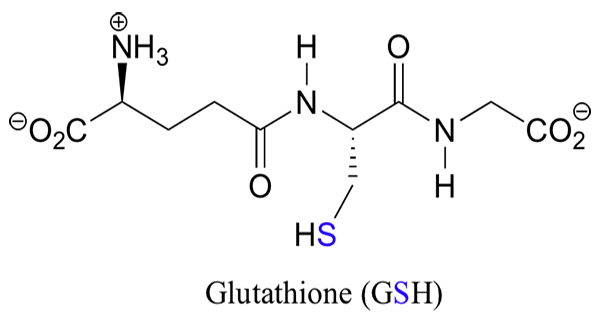 tác dụng của Glutathione