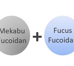 fucoidan 3 plus Nhật Bản có tốt không