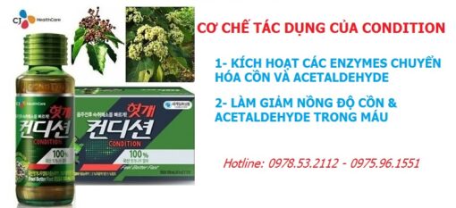 Nước giải rượu Condition CJ HealthCare 75ml Hàn Quốc - giải độc gan, bảo vệ gan