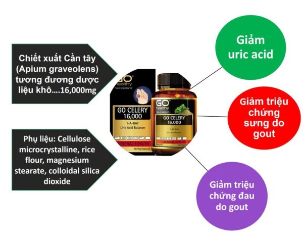Viên uống hỗ trợ điều trị gout Go Celery 16000mg Uric Acid Balance Go Healthy
